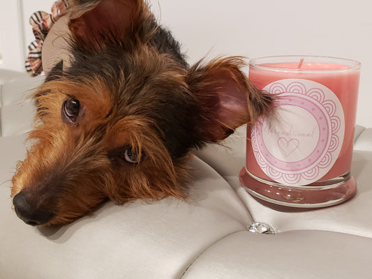 The Unconditional Candle - Large Size - 14 oz